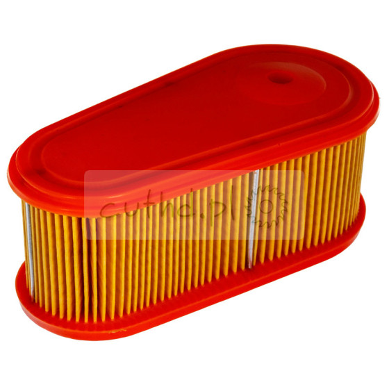 Filtr powietrza Briggs & Stratton 795066
