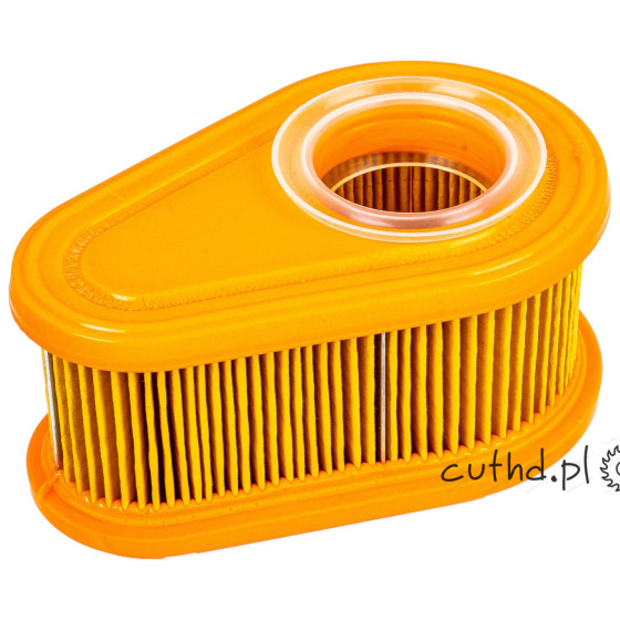 Filtr powietrza Briggs & Stratton 792038