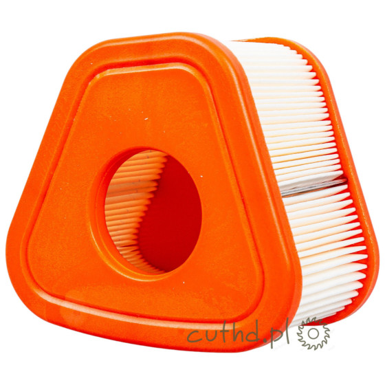 Filtr powietrza Briggs & Stratton 597265